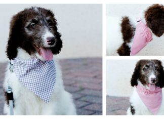 Easy Dog Bandana Free Sewing Pattern