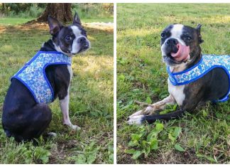 Dog Harness Free Sewing Pattern