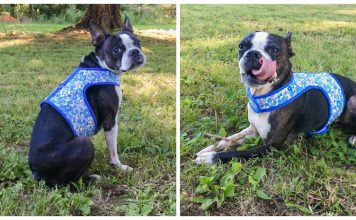 Dog Harness Free Sewing Pattern