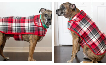 Dog Coat Free Sewing Pattern
