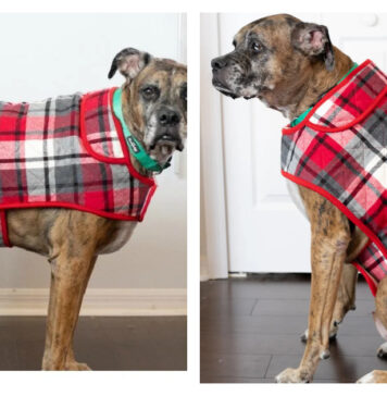 Dog Coat Free Sewing Pattern
